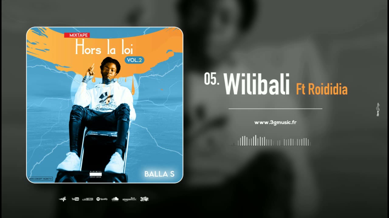 5_BALLA S_  MIXTAPE HORS LA LOI VOL_ FEAT ROIDIDIA_WILIBALI _(2021)