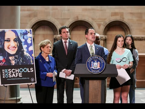 New York State Senate Press Conference on Alyssa's Law - 2/12/20