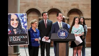 New York State Senate Press Conference on Alyssa's Law - 2/12/20