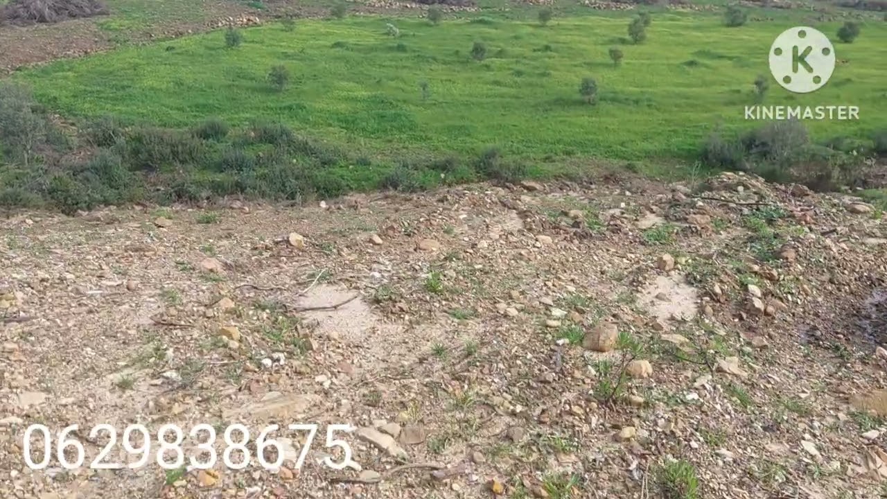 قطعة ارضية ملكية قابلة لتحفيض مساحتها 6500mitr لتواصل معي رقم الهاتف 📱 0629838675