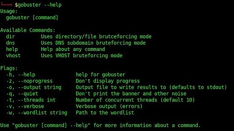 how to find hidden information from website use | gobuster tool ? Cyber Wings