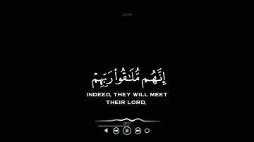 ويٰقوم لا أسئلكم عليٰه مالا--كروما قرآن شاشة سوداء--بصوت القارئ إسلام صبحي--سورة هود--