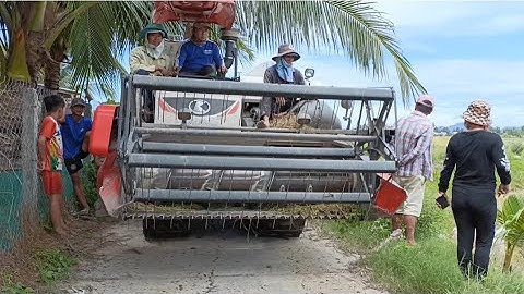 máy cắt  mới mua 1vụ 620tr chạy bộ vào ruộng tập140 #maibangtv