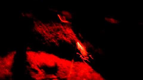 Rocket with header test 2