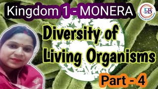 Biology class 9th NCERT Part 4... kingdom 1 Monera