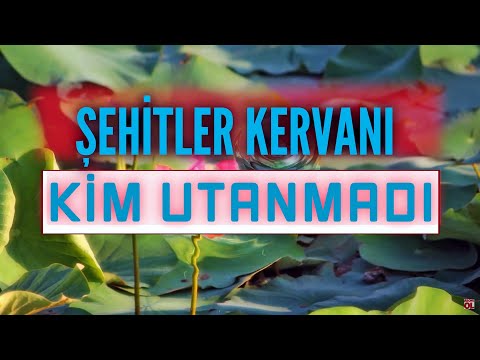 Kim Utanmadı - Şehitler Kervanı 6 - 10