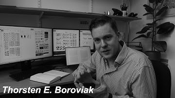 Spatial transcriptome profiling of primate embryos