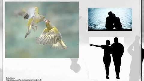 Viewpoints - Shape - Part 1