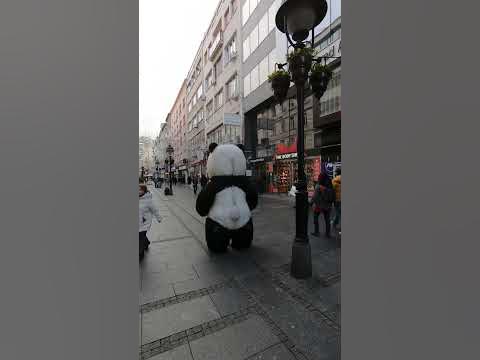 giant panda attack - YouTube