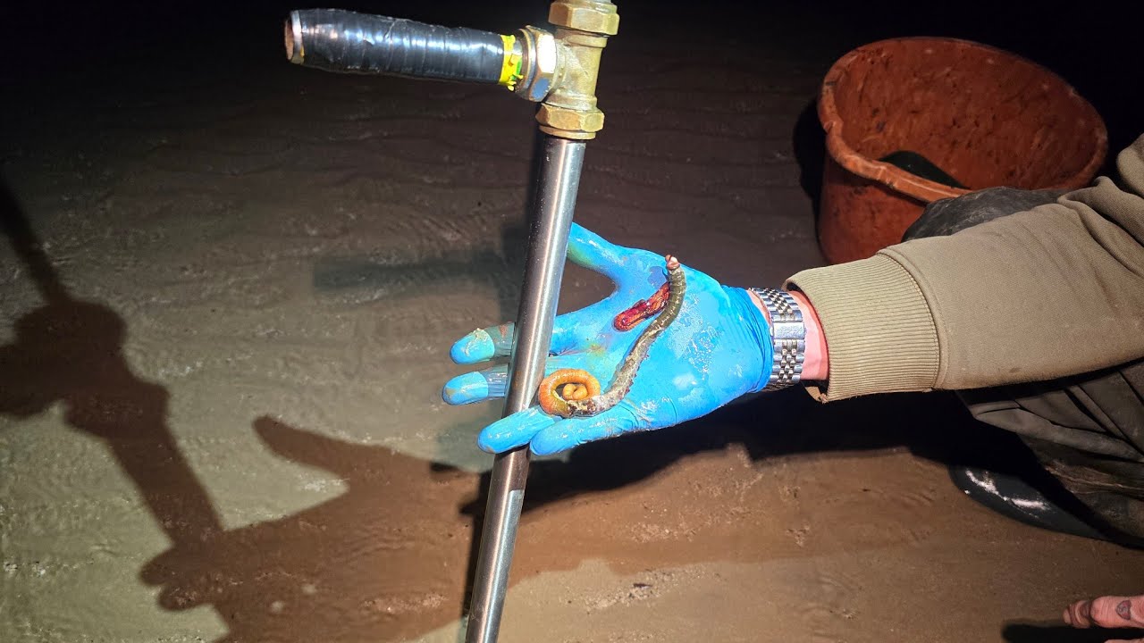 Накачка черного хлыста Dungeness и последующее использование его для ловли трески