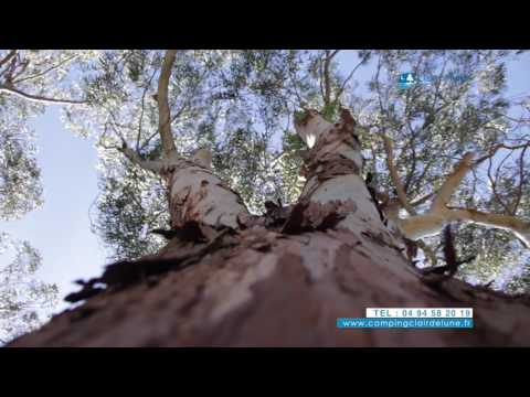 Video-thumbnail van Vakantiepark Clair de Lune