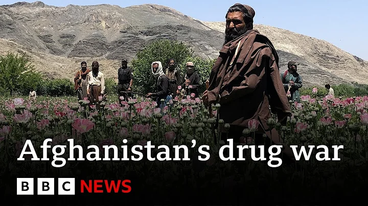 Inside the Taliban's war on drugs - BBC News - DayDayNews