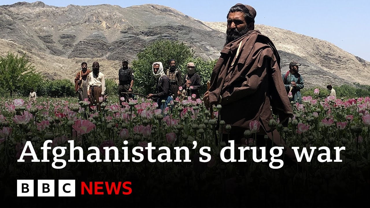 Felpörgött a drogkereskedelem Afganisztánban