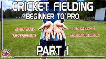 Cricket Fielding Guide - Part 1: Action position, Split step, Cup and Reverse cup method