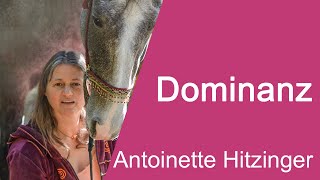 Antoinette Hitzinger - Dominanz - Teil 1 - CHS2020