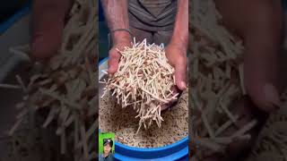 Pabrik Pembuatan Korek Api