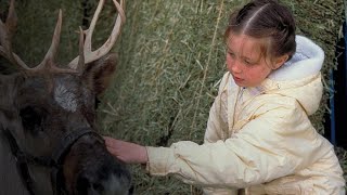 Maurice Jarre - Prancer End Credits - B.o.f Prancer 1989