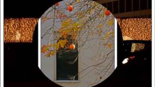 Mis fotos en Flickr 2