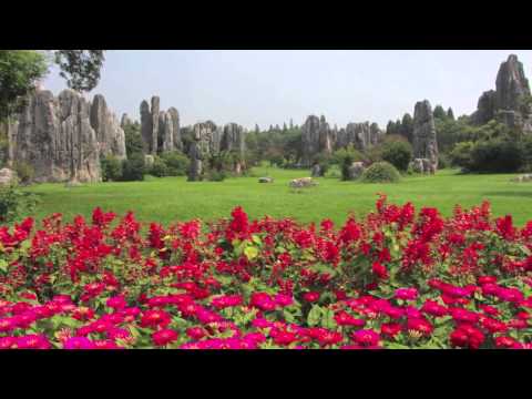 Video: Shilin - A Stone Forest In China - Alternative View