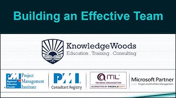 Building an effective team