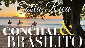 Brasilito and Conchal Beaches  II  Costa Rica 4K  II  Travel Guide   II   BEST OF GUANACASTE