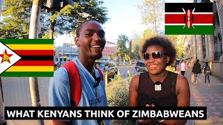 What Kenyans Think of Zimbabweans🇿🇼 will surprise You!