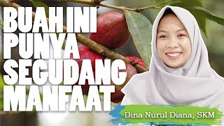 Manfaat Mahkota Dewa Bagi Kesehatan - Dina Nurul Diana, SKM