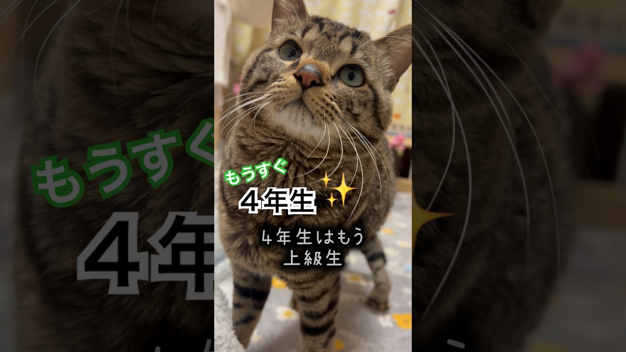 4年生は上級生✨