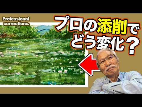 [Eng sub] Water lilies in France / What happens when a professional corrects this Artwork?