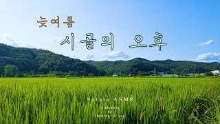 | ASMR 자연의소리 8시간 | 늦여름 시골의 오후, 농촌 풍경, Last summer Rural afternoon