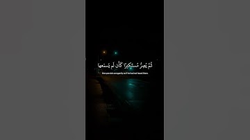 يسمع ايات الله تتلى عليه |سورة الجاثية~الآية8~القارئ الشيخ #ياسر_الدوسري ~🎧🤍