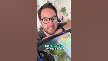 Thumbnail of Duckweed in my fresh water planted fish tank aquarium.