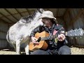 Hazel The Donkey Is beside Herself With This Johnny Cash Song