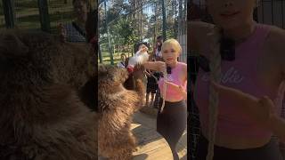 Vahşi Hayvanları Beslediğimiz Videoyu Kimler Izledi? Abone Ol