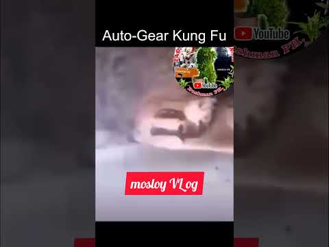 Auto- Gear Kung Fu