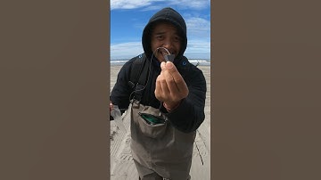 Best setup for surf fishing!