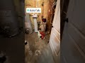 Water Heater Failure? Here's What We Do · Home Pride Idaho Falls