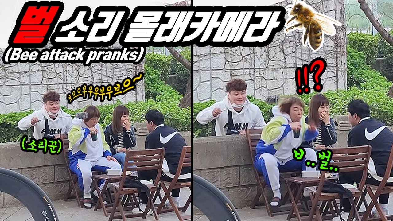 ENG) (몰카) 개그우먼 벌소리 내면서 벌침 쏘고 반응보기 몰래카메라!! 벌의 습격 ㅋㅋㅋ 소리꾼 이번에는 벌소리다