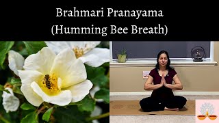 Bhrahmari Pranayama Humming Bee Breath