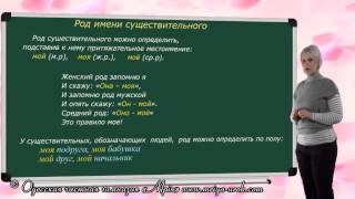 Род имени существительного Род имени существительного