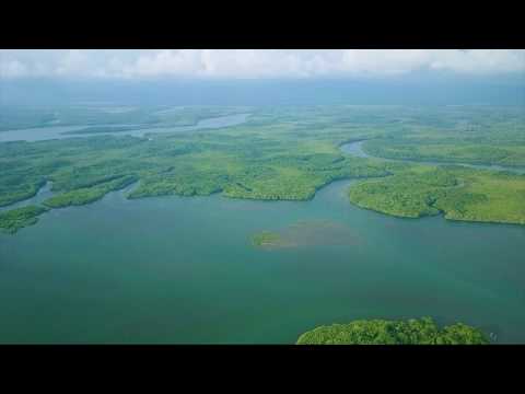 Video: Dokumentti Edistää Tietoista Matkailua Costa Rican Osa-niemimaalla - Matador-verkostossa