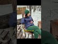 Чат Беседка