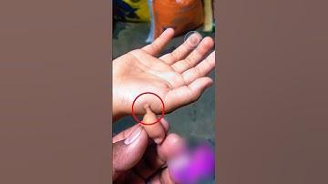 VÌ SAO BÀN TAY CÓ 6 NGÓN | 😨 (Bạn Biết Không) #thaukinhtrithuc #fact #amazingfact