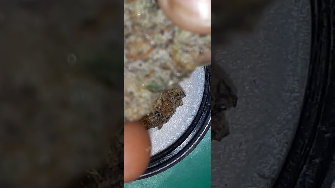 UPLOAD FROM MY MARIJUANA REVIEW CHANNEL. 