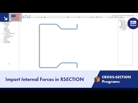 Import Internal Forces in RSECTION