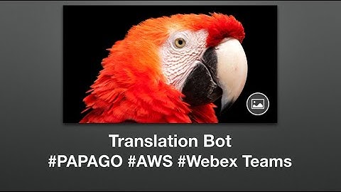 [ENG] Cisco Webex Teams Bot using Naver Papago Translate API on AWS (part. 1)