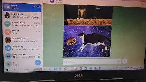 Creating a telegram Chatbot with Firestore Database
