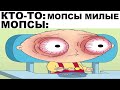 Мемы | Дневная подборка мемов 212