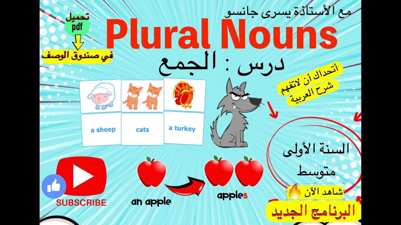 شرح المفرد و الجمع في اللغة الانجليزية plural nouns سنة اولى متوسط