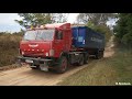 КАМАЗ 5410 груженный на холм!  Вывоз сахарной свеклы 2017